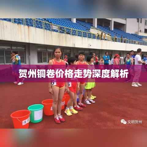 贺州铜卷价格走势深度解析