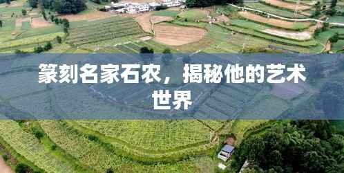 虫言鸟迹 第2页