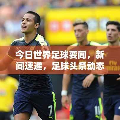 今日世界足球要闻，新闻速递，足球头条动态