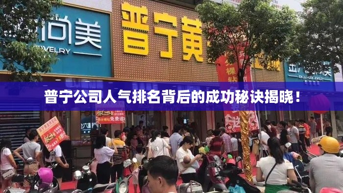 普宁公司人气排名背后的成功秘诀揭晓!