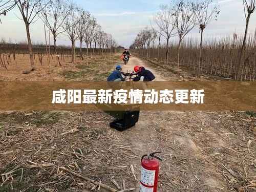 咸阳最新疫情动态更新