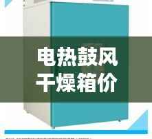 电热鼓风干燥箱价格与选购指南解析