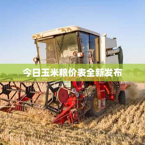 今日玉米粮价表全新发布