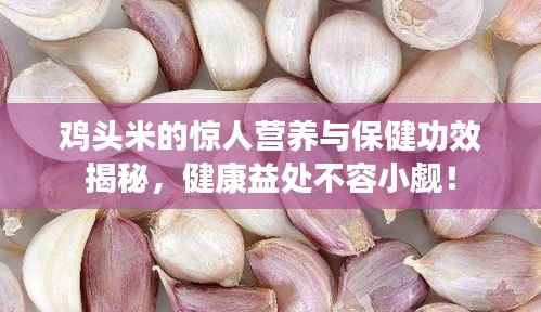 鸡头米的惊人营养与保健功效揭秘,健康益处不容小觑!