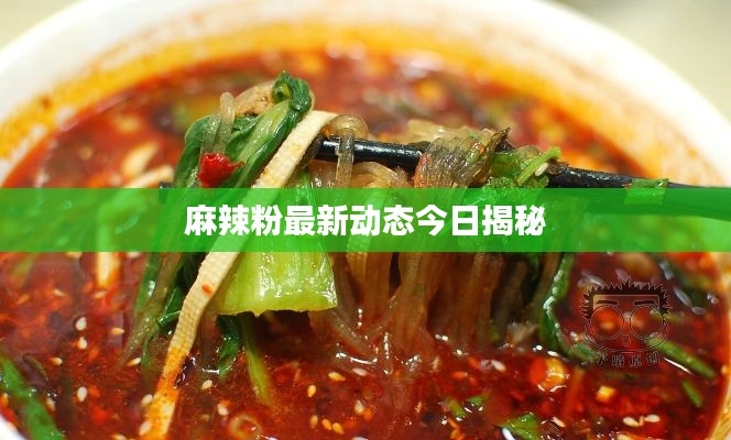 麻辣粉最新动态今日揭秘