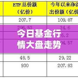 今日基金行情大盘走势深度解析