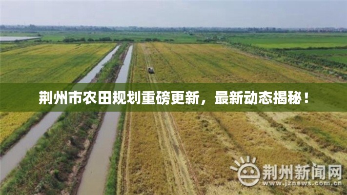 荆州市农田规划重磅更新,最新动态揭秘!