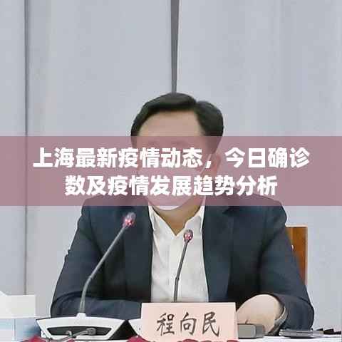 上海最新疫情动态,今日确诊数及疫情发展趋势分析