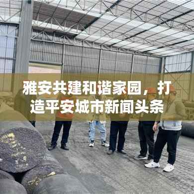 雅安共建和谐家园,打造平安城市新闻头条