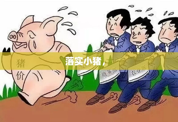 落实小猪,
