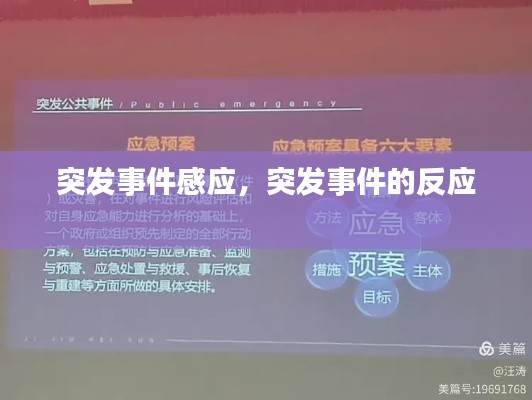 突发事件感应,突发事件的反应