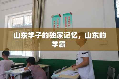 山东学子的独家记忆,山东的学霸