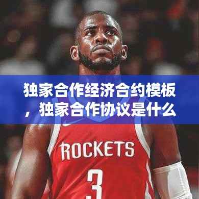 独家合作经济合约模板,独家合作协议是什么意思