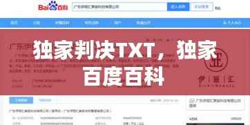 独家判决TXT,独家百度百科