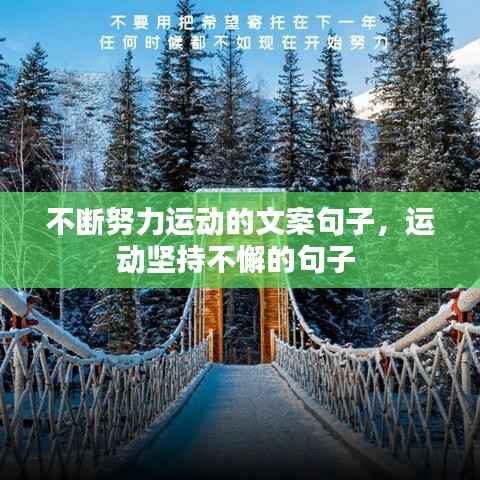 不断努力运动的文案句子，运动坚持不懈的句子 