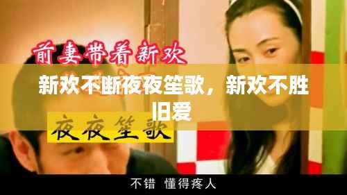 新欢不断夜夜笙歌,新欢不胜旧爱
