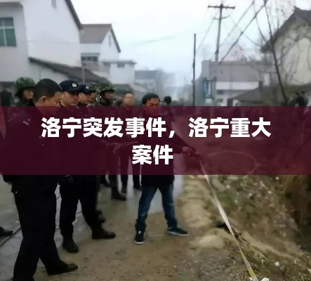 洛宁突发事件,洛宁重大案件