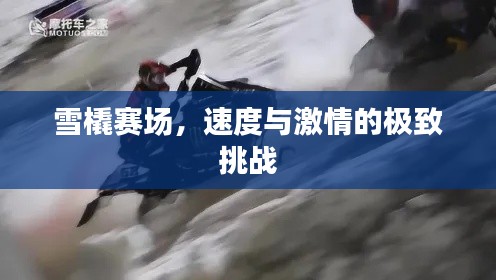 雪橇赛场,速度与激情的极致挑战