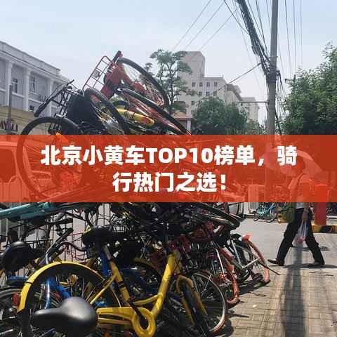 北京小黄车TOP10榜单,骑行热门之选!
