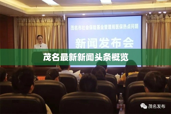 茂名最新新闻头条概览