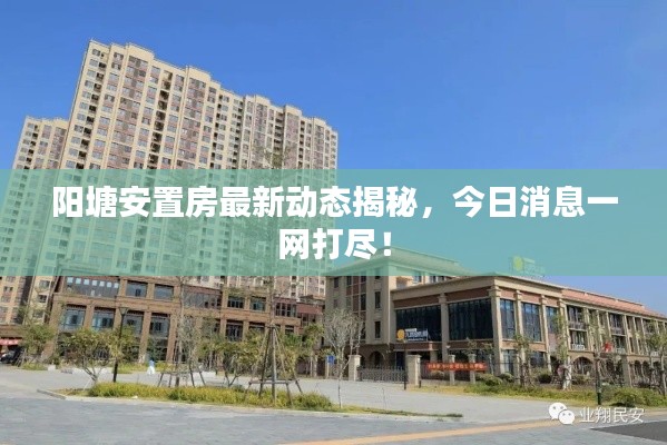 阳塘安置房最新动态揭秘,今日消息一网打尽!