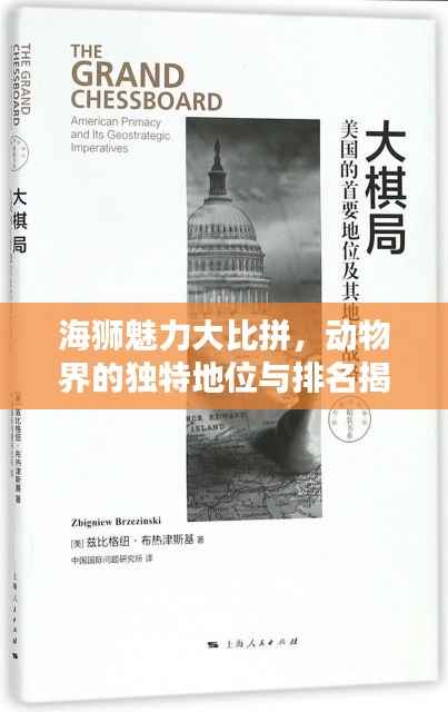 海狮魅力大比拼,动物界的独特地位与排名揭秘