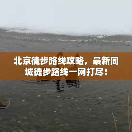 北京徒步路线攻略,最新同城徒步路线一网打尽!