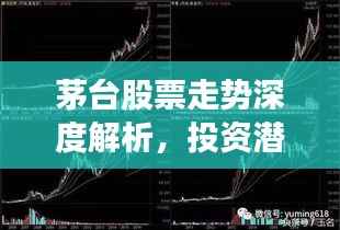 茅台股票走势深度解析，投资潜力与风险洞察