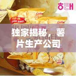 独家揭秘，薯片生产公司排名榜单！
