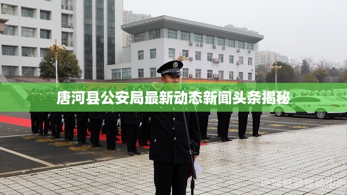 唐河县公安局最新动态新闻头条揭秘