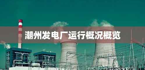 潮州发电厂运行概况概览