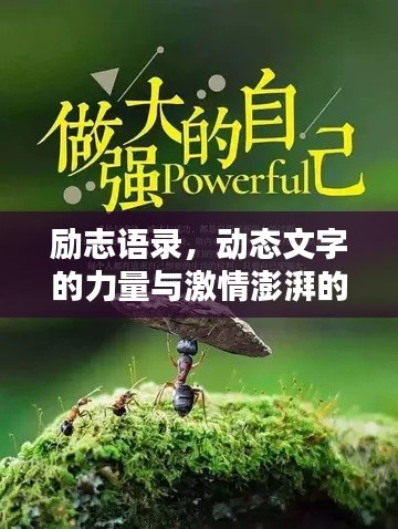 励志语录,动态文字的力量与激情澎湃的鼓舞